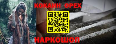 гидра Малоярославец