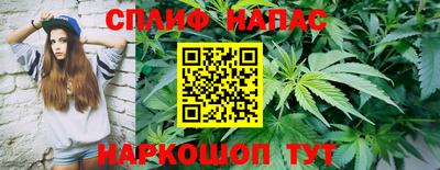 крисы Малгобек